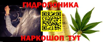 стаф Лесосибирск