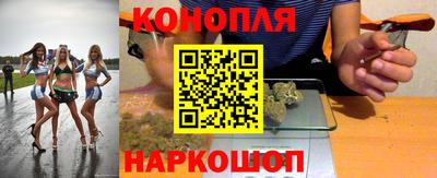 стаф Лесосибирск