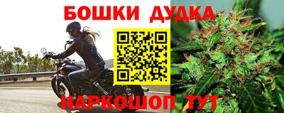 стаф Лесосибирск